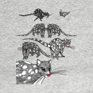 Tasmanian Spotted-tailed Quolls at play. T-Shirt